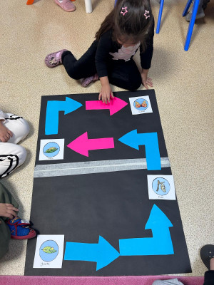 Yeşil Vatan- Kelebeğin yaşam döngüsü